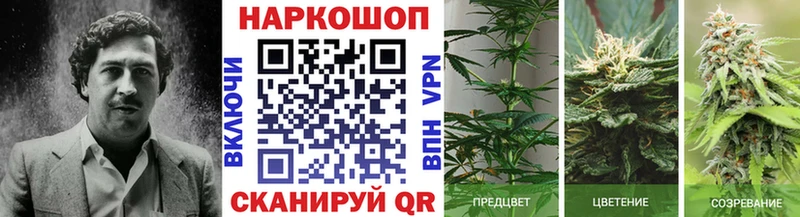 ГЕРОИН Володарск