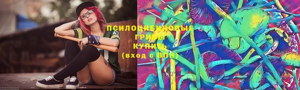 молекула духа Балахна