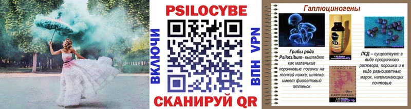 omg зеркало  Володарск  Галлюциногенные грибы Cubensis 